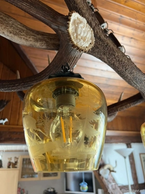 Leuchte Lampe Hirsch Geweih Bild 4