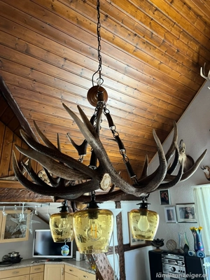 Leuchte Lampe Hirsch Geweih Bild 2