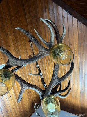 Leuchte Lampe Hirsch Geweih Bild 3