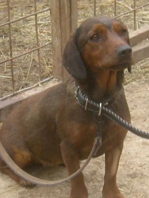 Tyra möchte bei IHNEN einziehen Bild 4