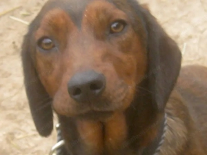 Tyra möchte bei IHNEN einziehen Bild 10