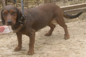 Tyra möchte bei IHNEN einziehen Bild 2