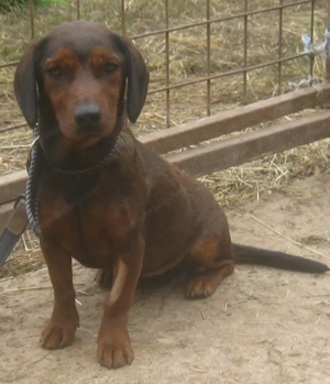 Tyra möchte bei IHNEN einziehen Bild 3