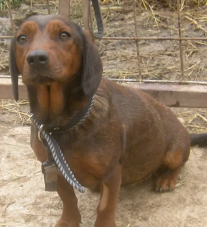 Tyra möchte bei IHNEN einziehen Bild 6