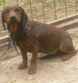 Tyra möchte bei IHNEN einziehen Bild 5