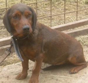 Tyra möchte bei IHNEN einziehen Bild 7