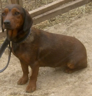 Tyra möchte bei IHNEN einziehen Bild 8