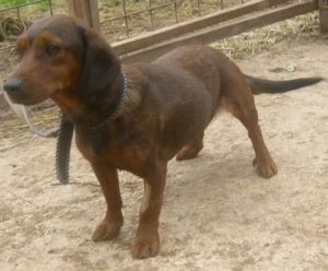 Tyra möchte bei IHNEN einziehen Bild 9