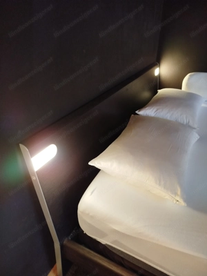 Möbel und Kunstpflanzen zu verschenken Bild 5