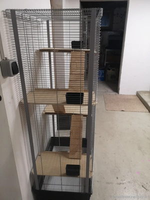 Nager Käfig  Bild 3