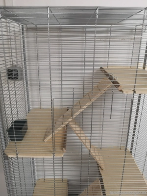 Nager Käfig  Bild 4