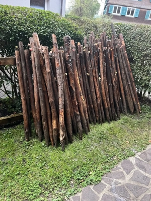 Knorrige alte Zaunpfähle für Deko oder für AlternativZaun  usw günstig abzugeben Bild 2