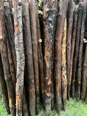 Knorrige alte Zaunpfähle für Deko oder für AlternativZaun  usw günstig abzugeben Bild 3
