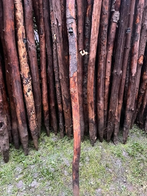 Knorrige alte Zaunpfähle für Deko oder für AlternativZaun  usw günstig abzugeben Bild 4