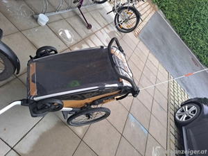 Thule Sport 2 Single Bild 5