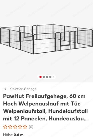 Freilaufgehege, Tiere, Welpen  Bild 4