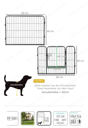 Freilaufgehege, Tiere, Welpen  Bild 6