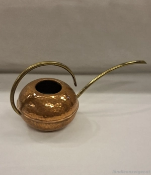 Vintage Kakteen Giesskanne  Bild 4