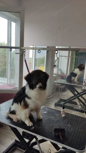 Margo die charmante Einzelprinzessin sucht ihr Königreich Bild 4