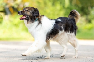 Margo die charmante Einzelprinzessin sucht ihr Königreich Bild 5