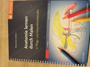 Anatomie lernen durch Malen