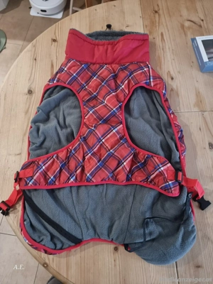 Hunde Wintermantel  Bild 3