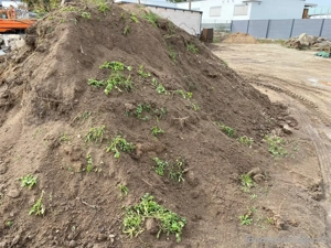 Verschenke 350m3 Aushub Humus Erde Rasenerde zu verschenken