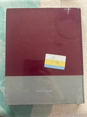 Historische Ansichten der Stadt Feldkirch Bild 2