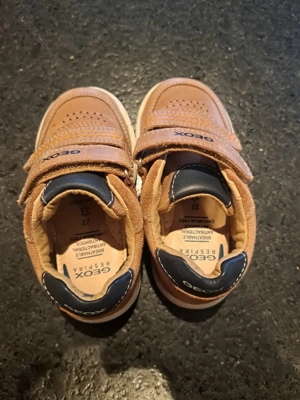 Geox Jungen Schuhe gr. 22  Bild 3