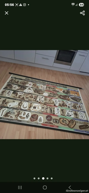 Alte Lehrtafeln 60er 70er Bild 3