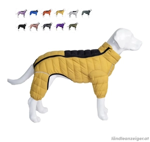 Hundejacke 2 stk NEUE ! Bild 2