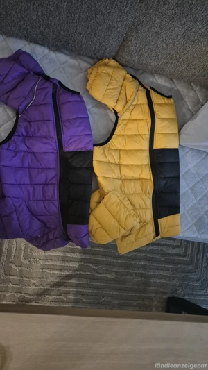 Hundejacke 2 stk NEUE ! Bild 3