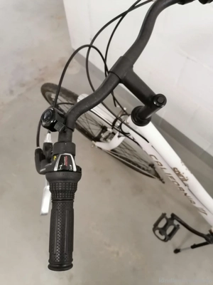 Damenfahrrad 28 Zoll Bild 4