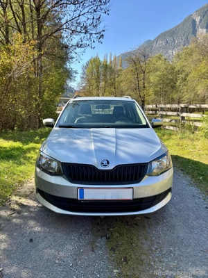 Skoda Fabia Kombi Sitzheiz.|AHK|Parks.