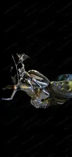 Schönes Motorrad zur Restaurierung Bild 5