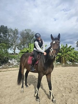 Pflegebeteiligung gesucht