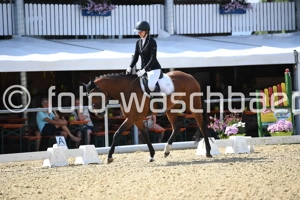 Reitbeteiligung gesucht.