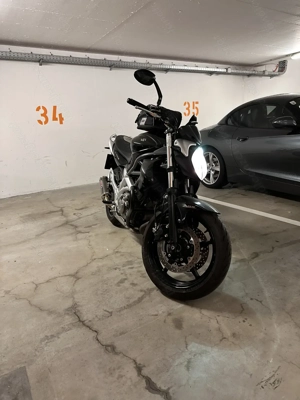 Suzuki SFV 650 Gladius Bild 4