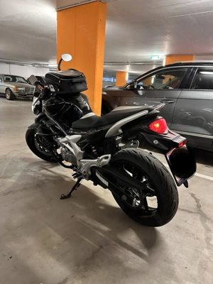 Suzuki SFV 650 Gladius Bild 5