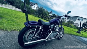 Harley sportster  Bild 3