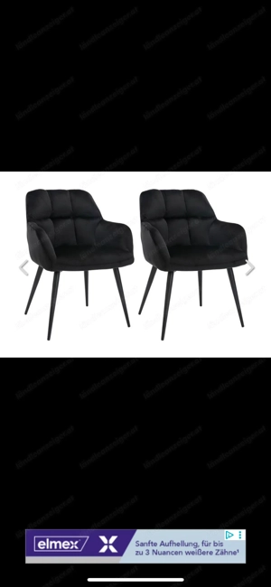 Stühle Samt
