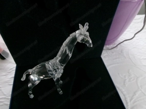Swarovski - Babygiraffe  Bild 2