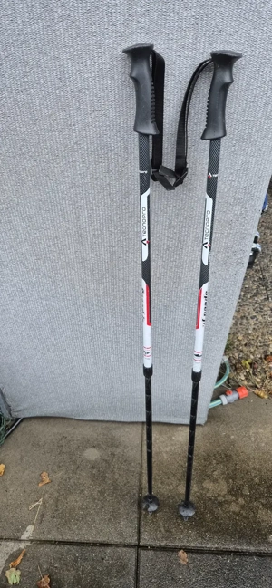 Skistöcke für Kinder - höhenverstellbar