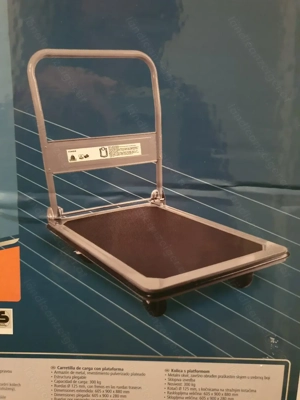 *NEU* Plattformwagen 300kg