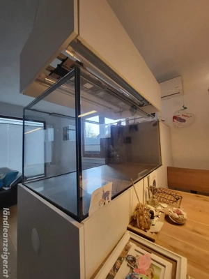 Meerwasseraquarium 500 liter Salzwasseraquarium zu verkaufen  Bild 3