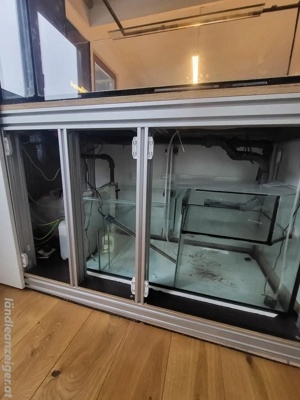 Meerwasseraquarium 500 liter Salzwasseraquarium zu verkaufen  Bild 5