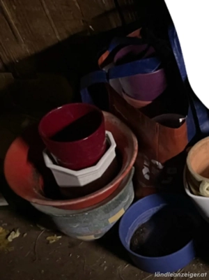 Blumentöpfe, Deko und Flaschen Bild 2