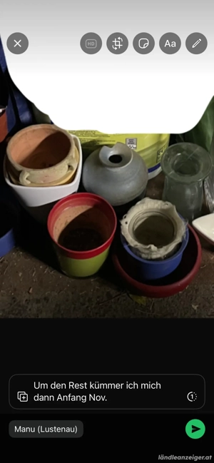 Blumentöpfe, Deko und Flaschen Bild 3