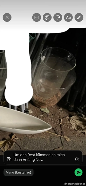 Blumentöpfe, Deko und Flaschen Bild 4