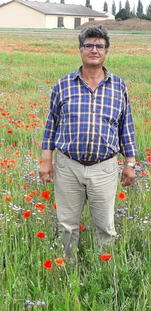 Suche eine liebevolle und humorvolle Frau Bild 8